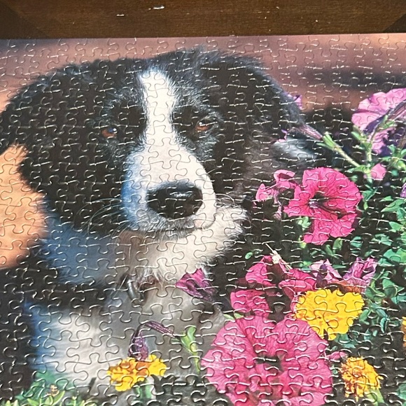 **6/$20** Sure-Lox Images 500 Piece Puzzle, Border Collie In Flowers *Complete* - Picture 5 of 8